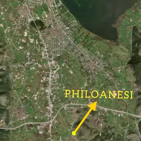 Ferienwohnung Philoanesi Neokesaria Exterior foto